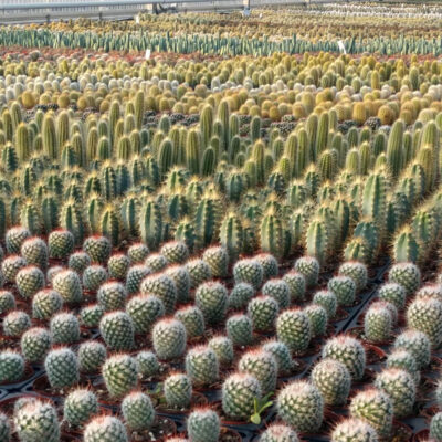 unnamed - 2026-01-30T091400.850