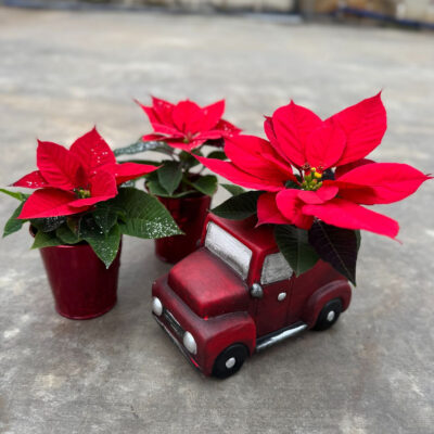 unnamed - 2025-11-21T133610.027