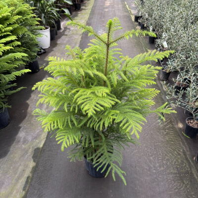 unnamed - 2025-11-21T133611.962