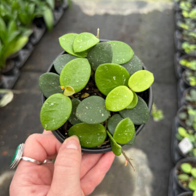 unnamed - 2025-11-21T133613.108