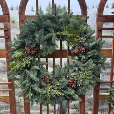 unnamed - 2025-12-12T110719.749