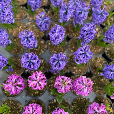 unnamed - 2026-02-13T133518.314