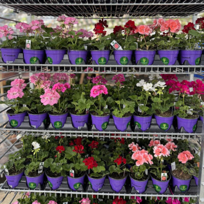 unnamed - 2026-03-20T093339.435