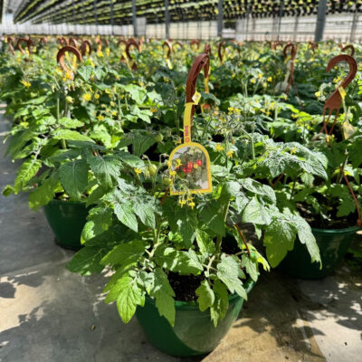 unnamed - 2026-04-11T103137.432