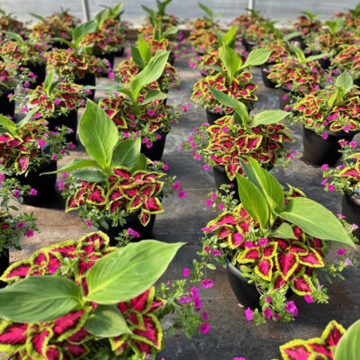 unnamed - 2026-04-11T103138.400