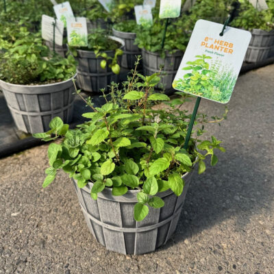 unnamed - 2026-04-11T103139.336