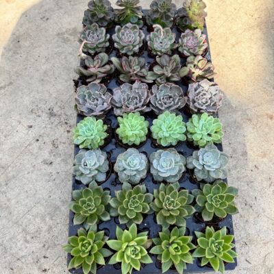 unnamed - 2026-04-11T103142.638