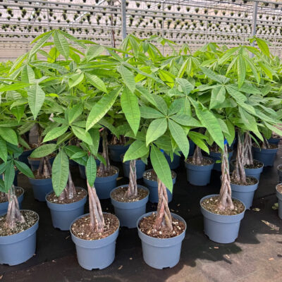 unnamed - 2026-04-11T103144.495