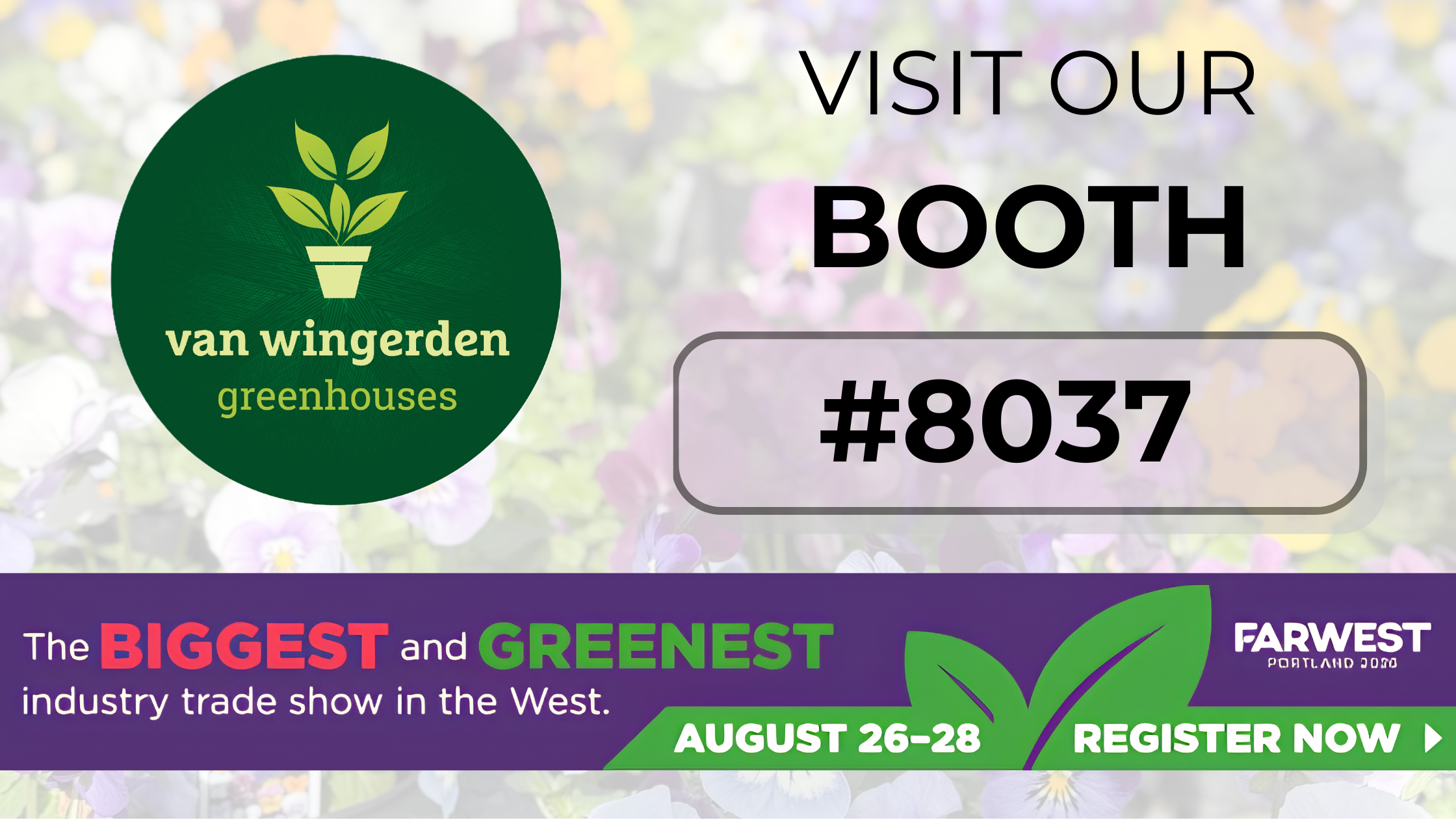 Come Visit Us ! (2)