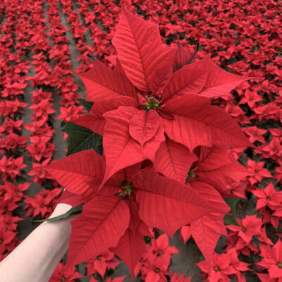 unnamed - 2026-10-29T161755.434